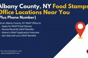 Food Stamp Office Albany Ny Old Stamp Collecting Guide: Discover, Value & Preserve Vintage Stamps Food Stamp Office Albany Ny | Old Stamp Collecting Guide: Discover, Value & Preserve Vintage Stamps
