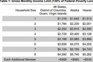 Snap Food Stamp Calculator | Safem Fabrication - Precision Engineering & Custom Manufacturing Solutions