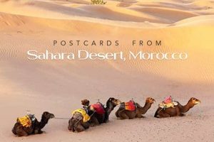 Authentic Sahara Desert Postcards: Memories & More Old Stamp Collecting Guide: Discover, Value & Preserve Vintage Stamps Authentic Sahara Desert Postcards: Memories & More | Old Stamp Collecting Guide: Discover, Value & Preserve Vintage Stamps