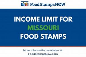 MO Food Stamp Number: Customer Service & Help Old Stamp Collecting Guide: Discover, Value & Preserve Vintage Stamps MO Food Stamp Number: Customer Service & Help | Old Stamp Collecting Guide: Discover, Value & Preserve Vintage Stamps