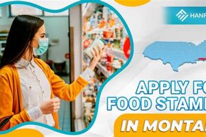 Apply for Montana Food Stamp Benefits Today Old Stamp Collecting Guide: Discover, Value & Preserve Vintage Stamps Apply for Montana Food Stamp Benefits Today | Old Stamp Collecting Guide: Discover, Value & Preserve Vintage Stamps