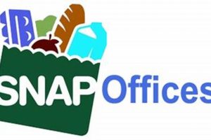 Find Springfield, Oregon Food Stamp Office Locations Old Stamp Collecting Guide: Discover, Value & Preserve Vintage Stamps Find Springfield, Oregon Food Stamp Office Locations | Old Stamp Collecting Guide: Discover, Value & Preserve Vintage Stamps