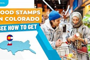 Pueblo Co Food Stamp Office Old Stamp Collecting Guide: Discover, Value & Preserve Vintage Stamps Pueblo Co Food Stamp Office | Old Stamp Collecting Guide: Discover, Value & Preserve Vintage Stamps