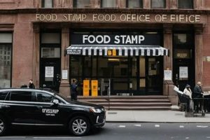 Find Kennett, MO Food Stamp Office Locations Old Stamp Collecting Guide: Discover, Value & Preserve Vintage Stamps Find Kennett, MO Food Stamp Office Locations | Old Stamp Collecting Guide: Discover, Value & Preserve Vintage Stamps