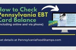 Check Your PA Food Stamp Balance Now Old Stamp Collecting Guide: Discover, Value & Preserve Vintage Stamps Check Your PA Food Stamp Balance Now | Old Stamp Collecting Guide: Discover, Value & Preserve Vintage Stamps