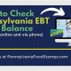 Check Your PA Food Stamp Balance Now | Old Stamp Collecting Guide: Discover, Value & Preserve Vintage Stamps