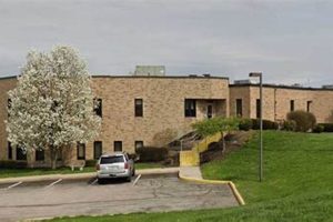 Newport KY Food Stamp Office: Your Guide &amp; Resources | Old Stamp Collecting Guide: Discover, Value & Preserve Vintage Stamps