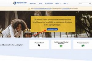 Check Food Stamp Pre-Screening Tool Eligibility Now | Old Stamp Collecting Guide: Discover, Value & Preserve Vintage Stamps