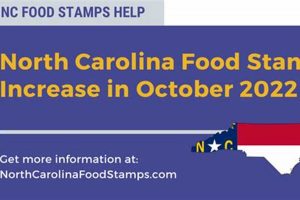 North Carolina Food Stamp | Old Stamp Collecting Guide: Discover, Value & Preserve Vintage Stamps