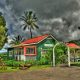 Postcard Cafe In Hanalei Kauai | Old Stamp Collecting Guide: Discover, Value & Preserve Vintage Stamps