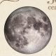 Lunar Postage Stamps: A Collector's Guide | Old Stamp Collecting Guide: Discover, Value & Preserve Vintage Stamps