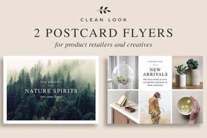 Postcard Flyer Old Stamp Collecting Guide: Discover, Value & Preserve Vintage Stamps Postcard Flyer | Old Stamp Collecting Guide: Discover, Value & Preserve Vintage Stamps