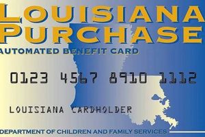 Get Your Louisiana Food Stamp Card Now | Safem Fabrication - Precision Engineering & Custom Manufacturing Solutions