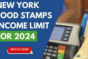NYC Food Stamp Income Limits & Guidelines 2024 Old Stamp Collecting Guide: Discover, Value & Preserve Vintage Stamps NYC Food Stamp Income Limits & Guidelines 2024 | Old Stamp Collecting Guide: Discover, Value & Preserve Vintage Stamps