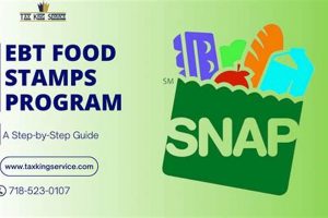Virginia Beach Food Stamp Program Guide & FAQs Old Stamp Collecting Guide: Discover, Value & Preserve Vintage Stamps Virginia Beach Food Stamp Program Guide & FAQs | Old Stamp Collecting Guide: Discover, Value & Preserve Vintage Stamps