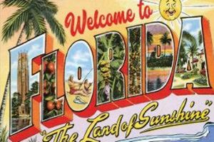 Classic Welcome to Florida Postcards: A Vintage Vibe Old Stamp Collecting Guide: Discover, Value & Preserve Vintage Stamps Classic Welcome to Florida Postcards: A Vintage Vibe | Old Stamp Collecting Guide: Discover, Value & Preserve Vintage Stamps