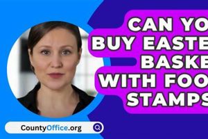 Food Stamp Office Cobb County Ga Old Stamp Collecting Guide: Discover, Value & Preserve Vintage Stamps Food Stamp Office Cobb County Ga | Old Stamp Collecting Guide: Discover, Value & Preserve Vintage Stamps