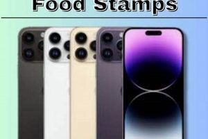 Food Stamp Free Phone Service Old Stamp Collecting Guide: Discover, Value & Preserve Vintage Stamps Food Stamp Free Phone Service | Old Stamp Collecting Guide: Discover, Value & Preserve Vintage Stamps