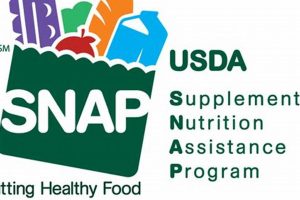 CT Food Stamp Program: Your Guide & Resources Old Stamp Collecting Guide: Discover, Value & Preserve Vintage Stamps CT Food Stamp Program: Your Guide & Resources | Old Stamp Collecting Guide: Discover, Value & Preserve Vintage Stamps