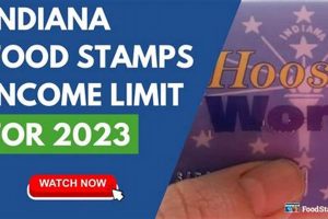 Find Your Indiana Food Stamp Number & Benefits Old Stamp Collecting Guide: Discover, Value & Preserve Vintage Stamps Find Your Indiana Food Stamp Number & Benefits | Old Stamp Collecting Guide: Discover, Value & Preserve Vintage Stamps