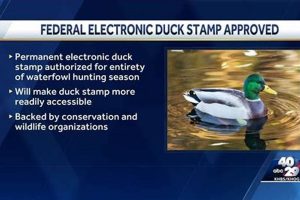 Revitalized Duck Stamp Act of 2023: Conservation Modernized Old Stamp Collecting Guide: Discover, Value & Preserve Vintage Stamps Revitalized Duck Stamp Act of 2023: Conservation Modernized | Old Stamp Collecting Guide: Discover, Value & Preserve Vintage Stamps
