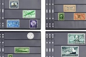 Buy Stamp Collecting Supplies on Amazon Old Stamp Collecting Guide: Discover, Value & Preserve Vintage Stamps Buy Stamp Collecting Supplies on Amazon | Old Stamp Collecting Guide: Discover, Value & Preserve Vintage Stamps