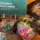Tropical Coconut Postcards: Island Memories | Old Stamp Collecting Guide: Discover, Value & Preserve Vintage Stamps