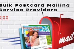 Bulk Postcard Mailing Old Stamp Collecting Guide: Discover, Value & Preserve Vintage Stamps Bulk Postcard Mailing | Old Stamp Collecting Guide: Discover, Value & Preserve Vintage Stamps