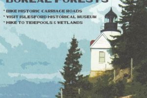 Vintage Acadia National Park Postcards: A Collectible Guide Old Stamp Collecting Guide: Discover, Value & Preserve Vintage Stamps Vintage Acadia National Park Postcards: A Collectible Guide | Old Stamp Collecting Guide: Discover, Value & Preserve Vintage Stamps