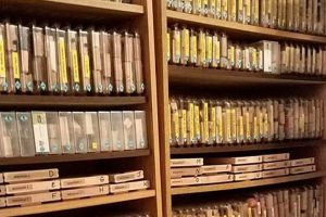 Best Rubber Stamp Storage Ideas & Solutions | Old Stamp Collecting Guide: Discover, Value & Preserve Vintage Stamps