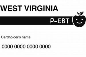 Lost Food Stamp Card Number? Act Now! Old Stamp Collecting Guide: Discover, Value & Preserve Vintage Stamps Lost Food Stamp Card Number? Act Now! | Old Stamp Collecting Guide: Discover, Value & Preserve Vintage Stamps