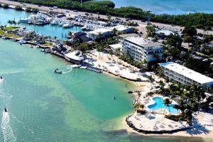 The Perfect Florida Keys Escape: Postcard Inn Beach Resort & Marina Old Stamp Collecting Guide: Discover, Value & Preserve Vintage Stamps The Perfect Florida Keys Escape: Postcard Inn Beach Resort & Marina | Old Stamp Collecting Guide: Discover, Value & Preserve Vintage Stamps
