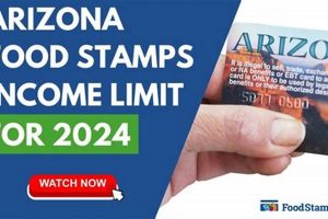 AZ Food Stamp Eligibility Requirements & Guide | Old Stamp Collecting Guide: Discover, Value & Preserve Vintage Stamps