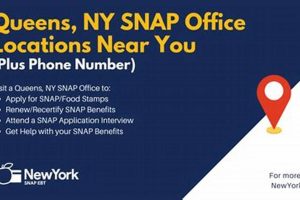 Queens NY Food Stamp Office Reviews & Ratings | Old Stamp Collecting Guide: Discover, Value & Preserve Vintage Stamps
