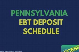 PA Food Stamp Schedule 2024: Get Your Dates | Old Stamp Collecting Guide: Discover, Value & Preserve Vintage Stamps