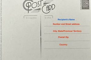 The Ultimate Guide to Postcard Address Format Old Stamp Collecting Guide: Discover, Value & Preserve Vintage Stamps The Ultimate Guide to Postcard Address Format | Old Stamp Collecting Guide: Discover, Value & Preserve Vintage Stamps