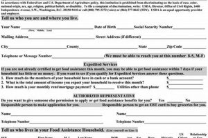 Apply for Food Stamp TN: Your Guide &amp; Help | Old Stamp Collecting Guide: Discover, Value & Preserve Vintage Stamps