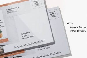 Top Postcard Mailing Services for Businesses Old Stamp Collecting Guide: Discover, Value & Preserve Vintage Stamps Top Postcard Mailing Services for Businesses | Old Stamp Collecting Guide: Discover, Value & Preserve Vintage Stamps