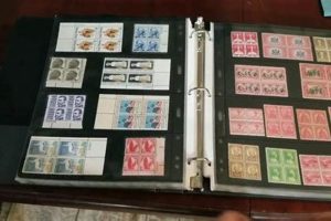 Guide to Stamp Collecting Plate Blocks: Tips & Value Old Stamp Collecting Guide: Discover, Value & Preserve Vintage Stamps Guide to Stamp Collecting Plate Blocks: Tips & Value | Old Stamp Collecting Guide: Discover, Value & Preserve Vintage Stamps