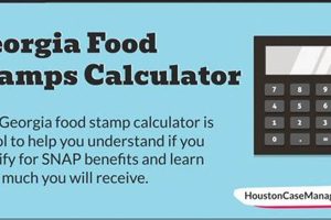 GA Food Stamp Guide &amp; Application | Old Stamp Collecting Guide: Discover, Value & Preserve Vintage Stamps