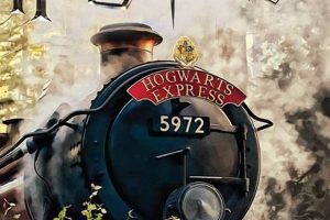 Magical Harry Potter Postcard Book Collection Old Stamp Collecting Guide: Discover, Value & Preserve Vintage Stamps Magical Harry Potter Postcard Book Collection | Old Stamp Collecting Guide: Discover, Value & Preserve Vintage Stamps