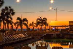 Postcard In St Pete Beach Old Stamp Collecting Guide: Discover, Value & Preserve Vintage Stamps Postcard In St Pete Beach | Old Stamp Collecting Guide: Discover, Value & Preserve Vintage Stamps