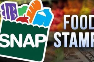 RI Food Stamp Application: Your Guide & Help Old Stamp Collecting Guide: Discover, Value & Preserve Vintage Stamps RI Food Stamp Application: Your Guide & Help | Old Stamp Collecting Guide: Discover, Value & Preserve Vintage Stamps