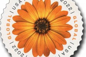 First-Class Postage: Regular Stamp or Not? Old Stamp Collecting Guide: Discover, Value & Preserve Vintage Stamps First-Class Postage: Regular Stamp or Not? | Old Stamp Collecting Guide: Discover, Value & Preserve Vintage Stamps