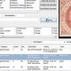 Stampmanage Stamp Collecting Software | Old Stamp Collecting Guide: Discover, Value & Preserve Vintage Stamps