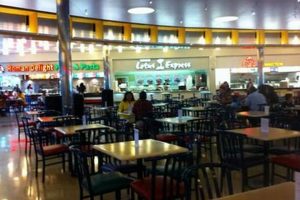 Find Your Greenspoint Food Stamp Office in Houston, TX Old Stamp Collecting Guide: Discover, Value & Preserve Vintage Stamps Find Your Greenspoint Food Stamp Office in Houston, TX | Old Stamp Collecting Guide: Discover, Value & Preserve Vintage Stamps