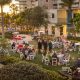 Dream Postcard Inn St. Pete Beach Weddings | Old Stamp Collecting Guide: Discover, Value & Preserve Vintage Stamps