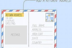 Return Address Postcard | Old Stamp Collecting Guide: Discover, Value & Preserve Vintage Stamps