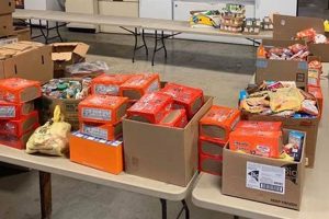 Liberty Food Stamp Office | Old Stamp Collecting Guide: Discover, Value & Preserve Vintage Stamps