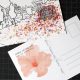 Design Creative Postcards: Tips & Inspiration | Old Stamp Collecting Guide: Discover, Value & Preserve Vintage Stamps